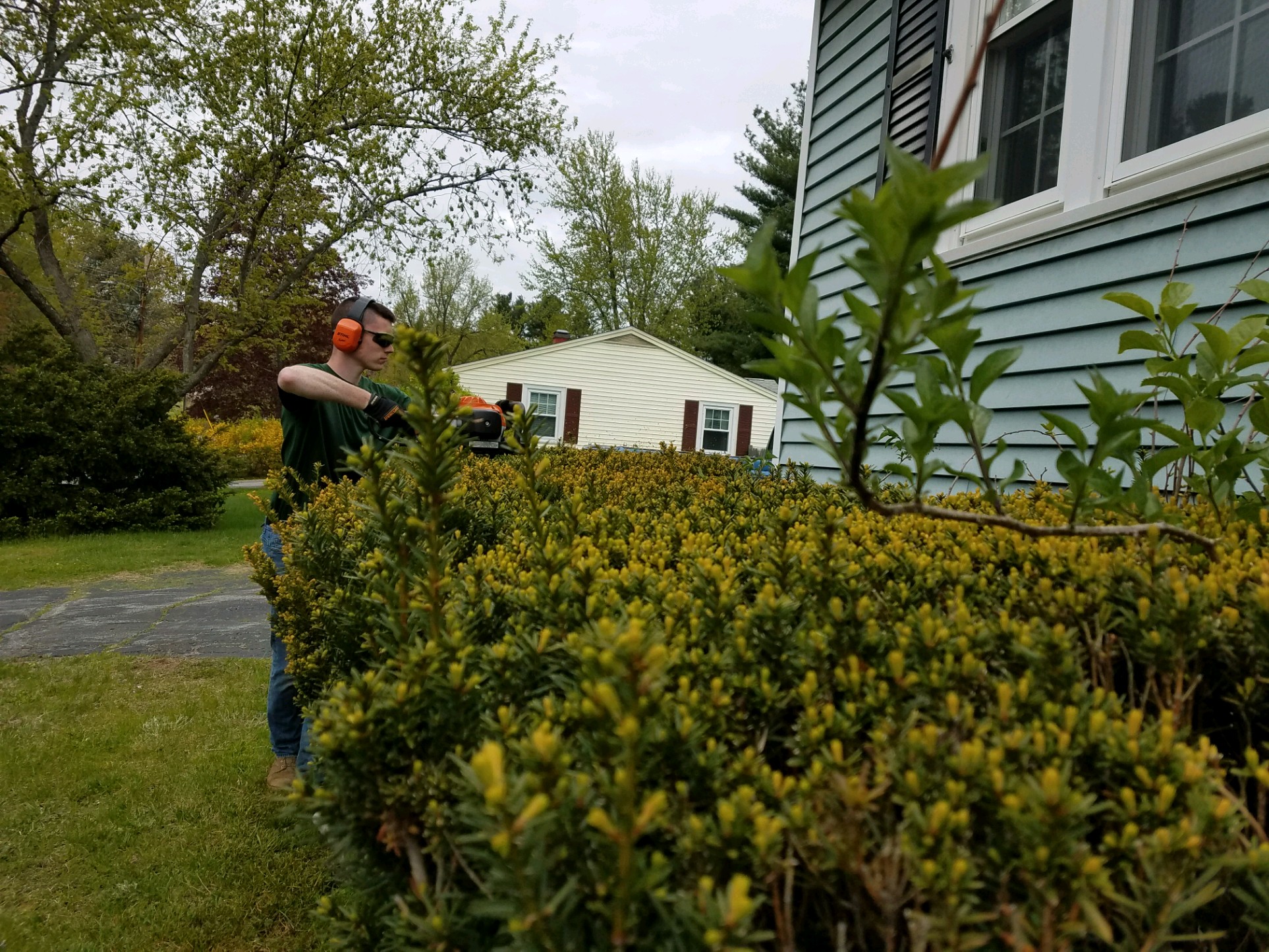 20190513 pruning before