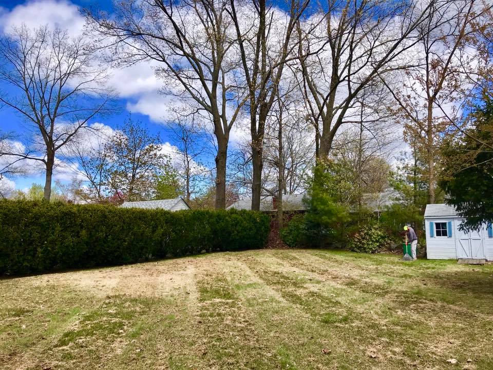 2019 spring FB lawn dethatch
