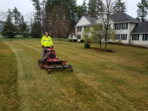 Dethatching