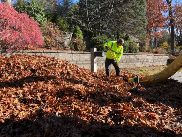 Leaf Clean-Up